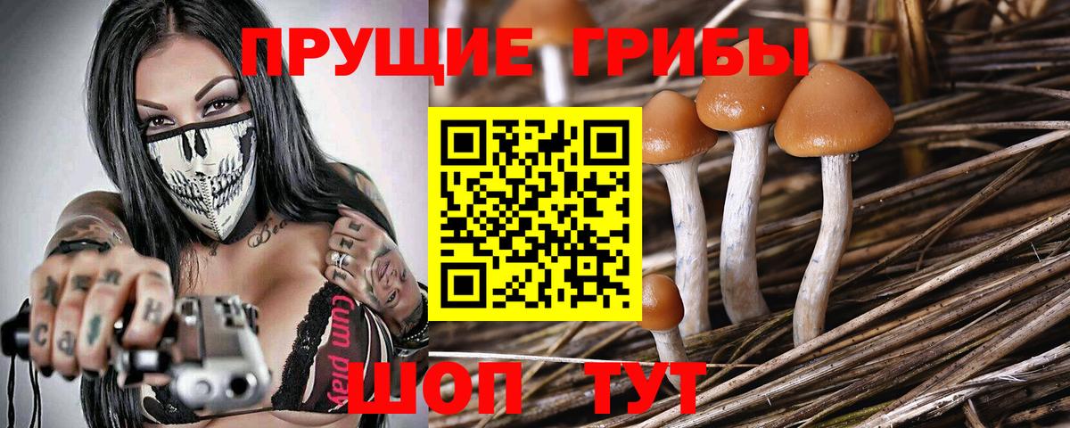 Сарапул  Псилоцибиновые грибы мухоморы  Вход с VPN 